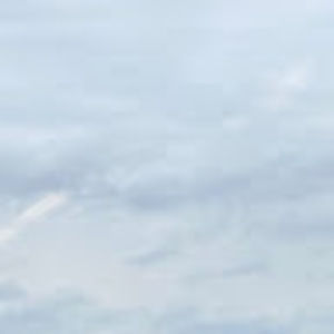 Meet your Posher, Lilian